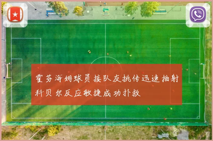 霍芬海姆球员接队友挑传迅速抽射科贝尔反应敏捷成功扑救