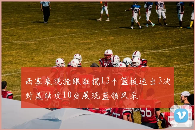 西塞表现抢眼狂揽13个篮板送出3次封盖助攻10分展现蓝领风采