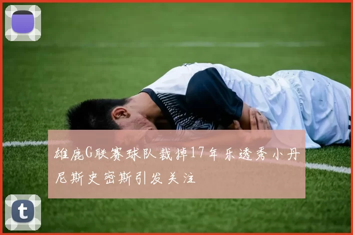 雄鹿G联赛球队裁掉17年乐透秀小丹尼斯史密斯引发关注
